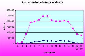valori beta in gravidanza