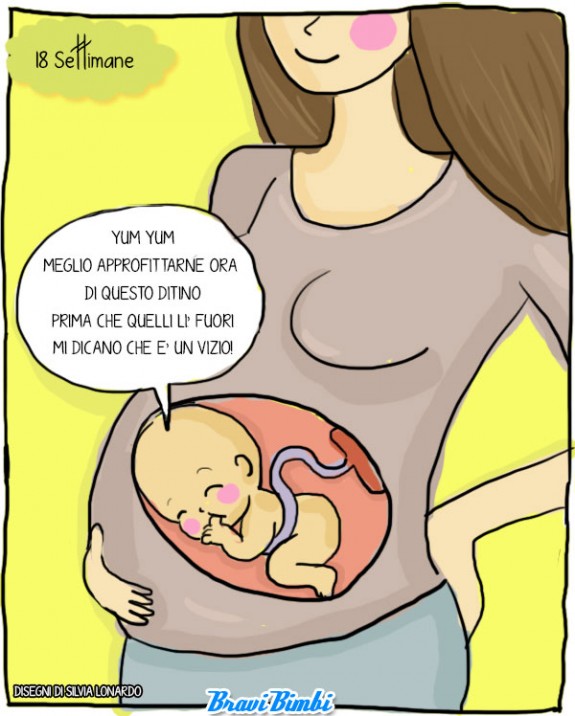 18 settimane di gravidanza, vignetta