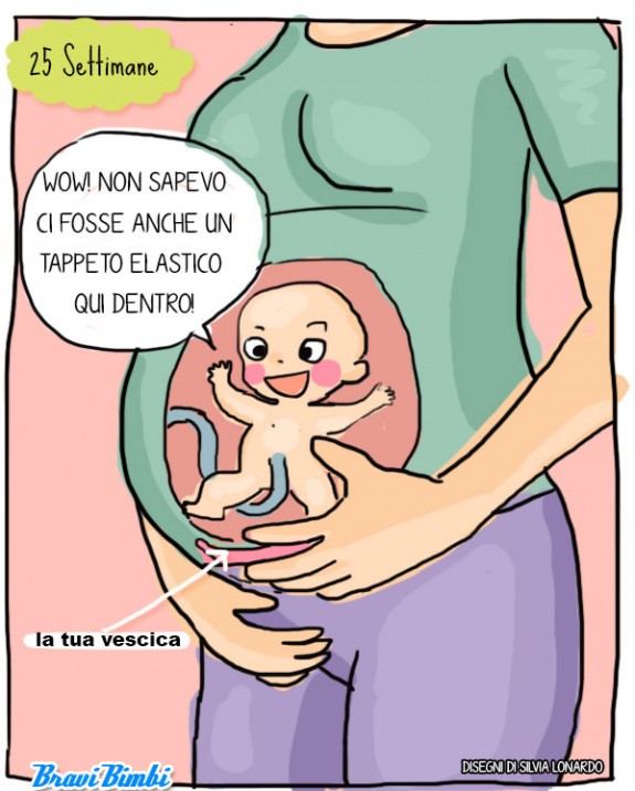 25 settimane di gravidanza, vignetta