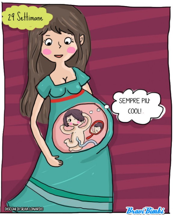 29 settimane di gravidanza, vignetta