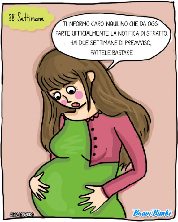 38 settimane di gravidanza, vignetta