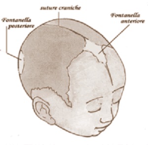 6 родничков. Темечко у новорожденных темечко. Темечко на голове у новорожденного. Голова новорожденного ребенка сбоку. Форма головы у новорожденных.