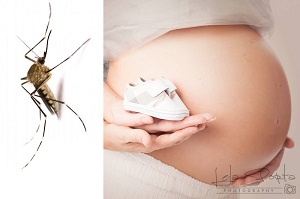 malaria in gravidanza
