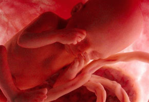 monitoraggio feto